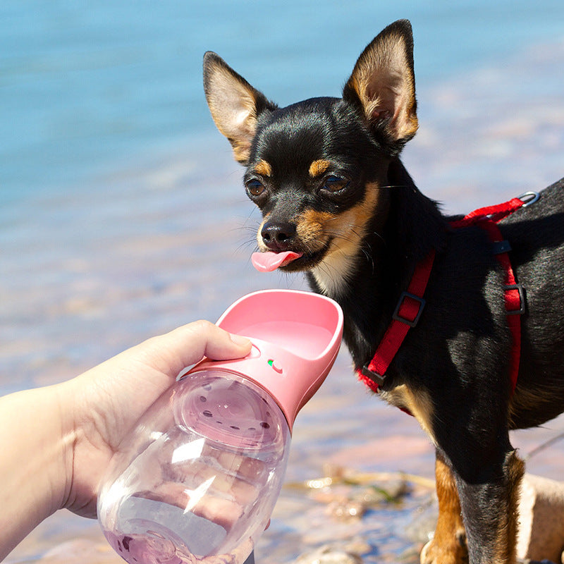 Portable Pet Dog Water Bottle in use