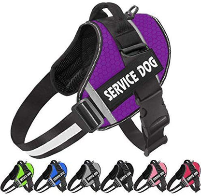 Pet Dog New Reflective Comfortable Pet Harness Leash Rope Amazon Hot Selling Vest Pet Harness