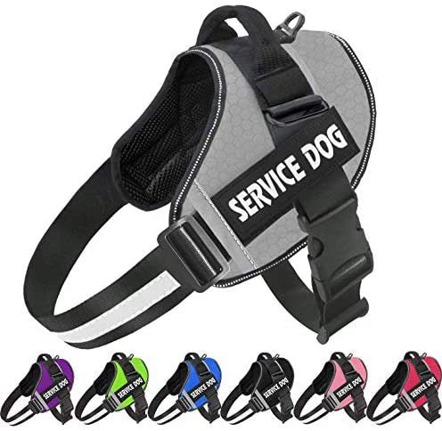 Pet Dog New Reflective Comfortable Pet Harness Leash Rope Amazon Hot Selling Vest Pet Harness