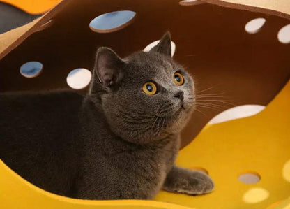 Cat toy channel pet cat tunnel rolling ground dragon teasing cat toy cat nest various combination felt cat nest tunnel