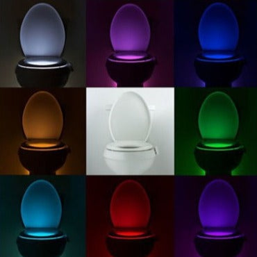 Toilet Seat Lamp Colors